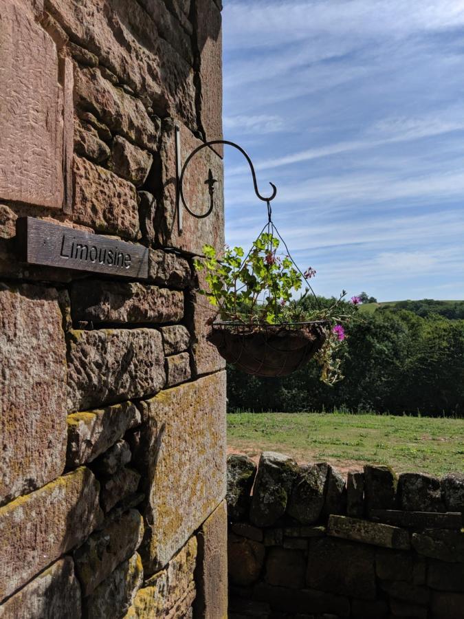 Bed and Breakfast La douce France Collonges-la-Rouge Exterior foto