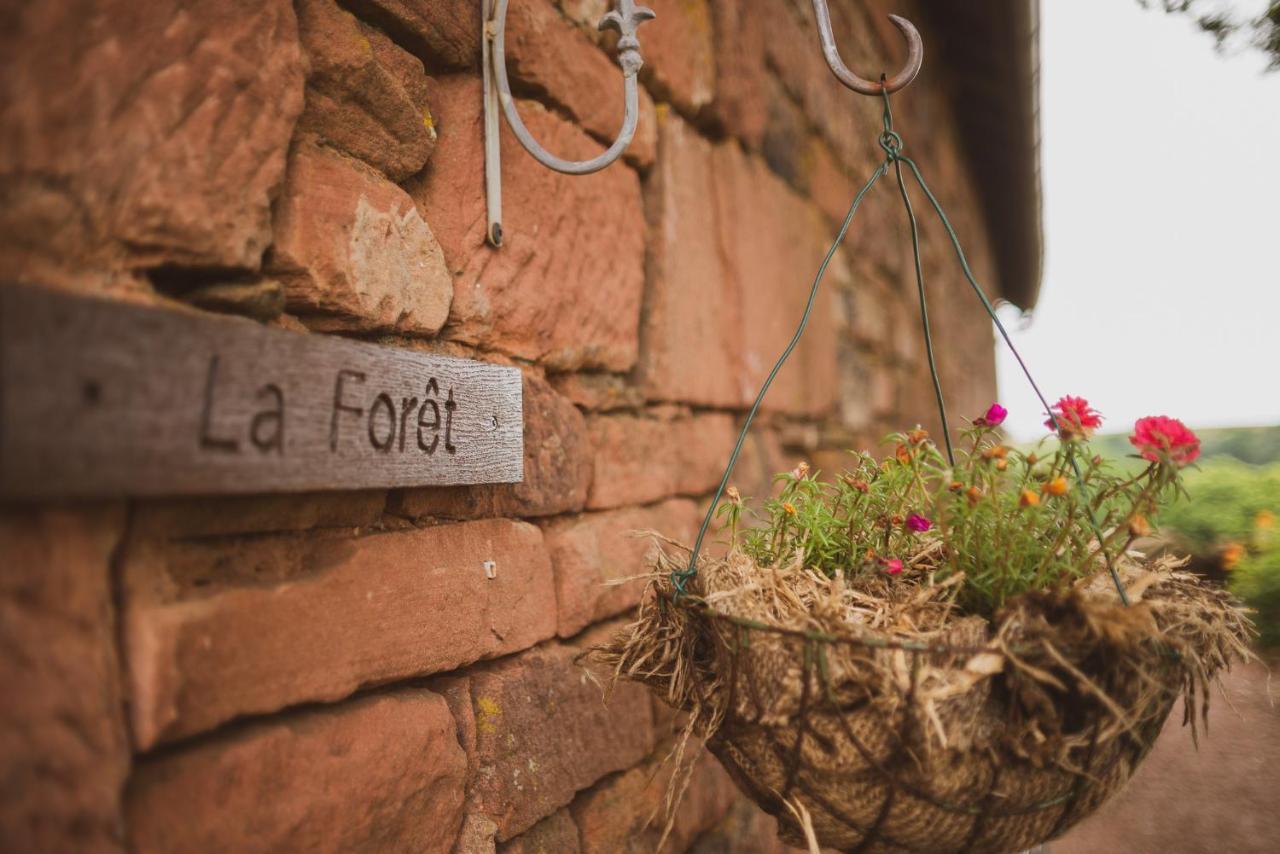 Bed and Breakfast La douce France Collonges-la-Rouge Habitación foto